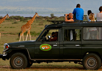 Uganda Game Drive